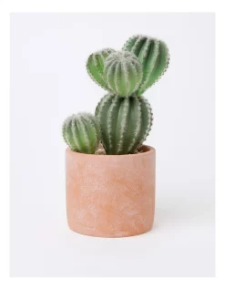 Hot Sale 🔔 Vue Artificial Cactus In Cement Pot 26.5x16x12cm In Green/Terracotta 🎁