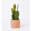 Outlet 🛒 Vue Artificial Cactus In Cement Pot 26x12x12cm In Green/Terracotta 🧨