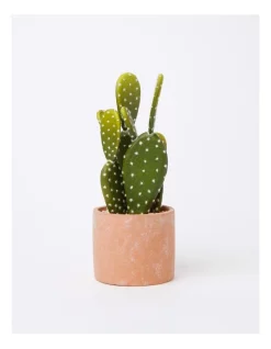 Outlet 🛒 Vue Artificial Cactus In Cement Pot 26x12x12cm In Green/Terracotta 🧨