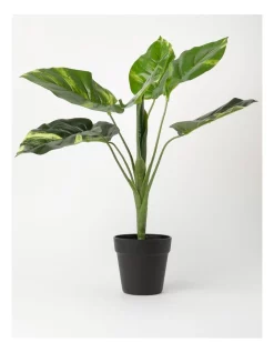 Brand new 🎁 Vue Philodendron Artificial Plant 45cm 🎁