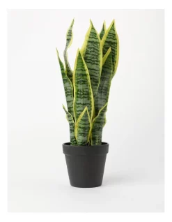 Wholesale ⌛ Vue Sanseviera Artificial Plant 45cm ✔️