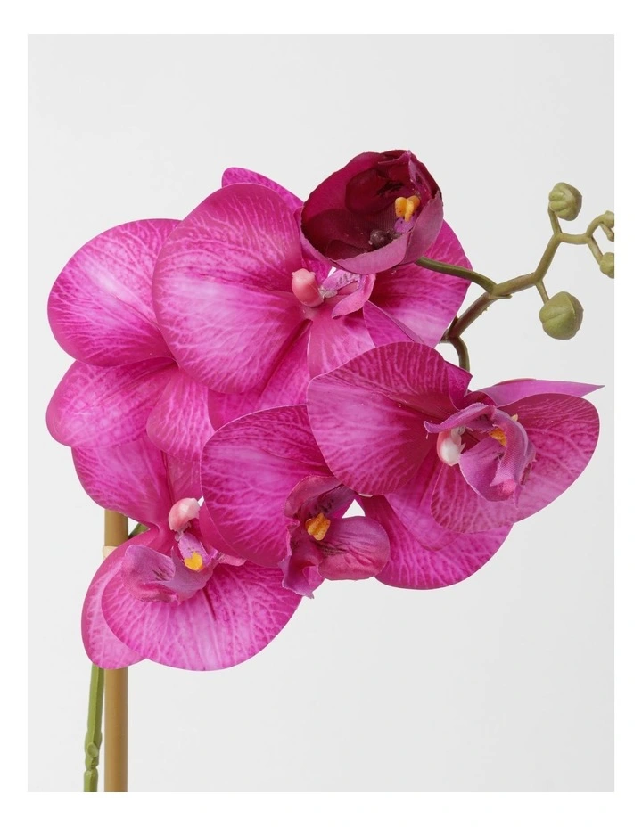 Deals π― Heritage Real Touch Orchid 45cm 1 Stem Purple π€© - Image 2
