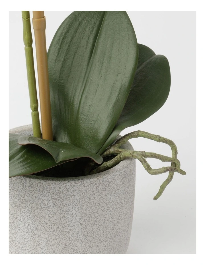 Deals π― Heritage Real Touch Orchid 45cm 1 Stem Purple π€© - Image 3