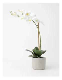 Buy 🥰 Heritage Real Touch Orchid 45cm 1 Stem White ❤️