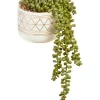 Promo 🎉 Cooper & Co Artificial Potted String Of Pearls Plant In Ceramic Pot 40cm In White/Green 🎉