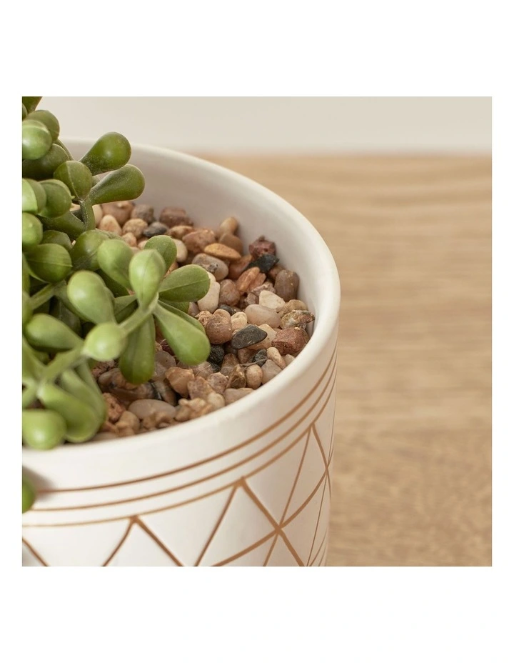 Promo π Cooper & Co Artificial Potted String Of Pearls Plant In Ceramic Pot 40cm In White/Green π - Image 6