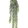 Best reviews of 🛒 Florabelle Fern Staghorn Hanging 80cm In Green 🌟