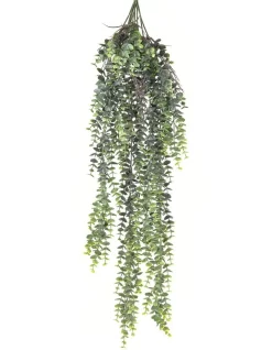 Best reviews of 🛒 Florabelle Fern Staghorn Hanging 80cm In Green 🌟