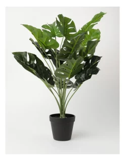 Budget 🧨 Vue Monstera Artificial Plant 65cm 🛒