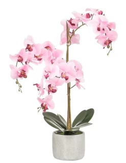 Hot Sale 💯 Cooper & Co Artificial Orchid 70cm In Pink ❤️