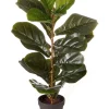Cheapest 🎉 Cooper & Co Artificial Fiddle Leaf Potted Plant 60cm In Green 👏