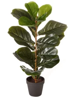Cheapest 🎉 Cooper & Co Artificial Fiddle Leaf Potted Plant 60cm In Green 👏