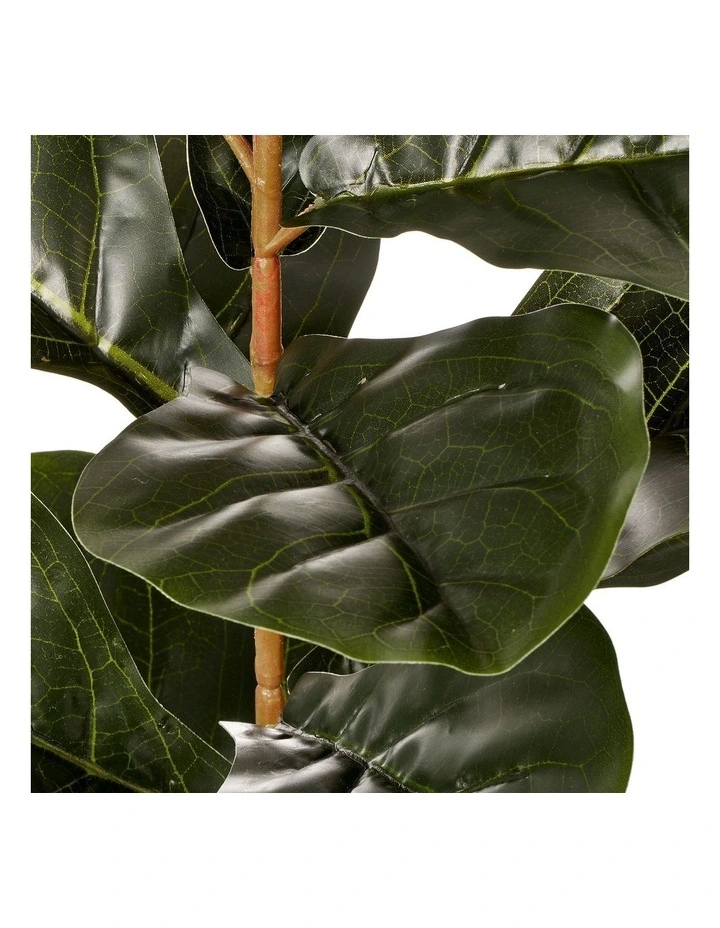 Cheapest π Cooper & Co Artificial Fiddle Leaf Potted Plant 60cm In Green π - Image 4