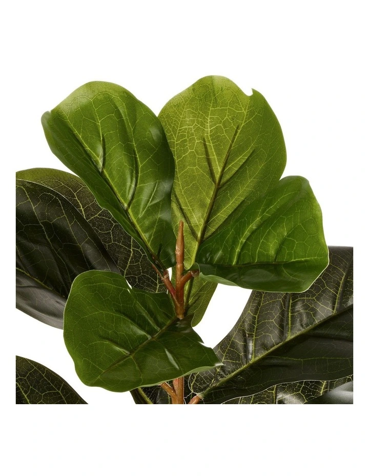 Cheapest π Cooper & Co Artificial Fiddle Leaf Potted Plant 60cm In Green π - Image 5