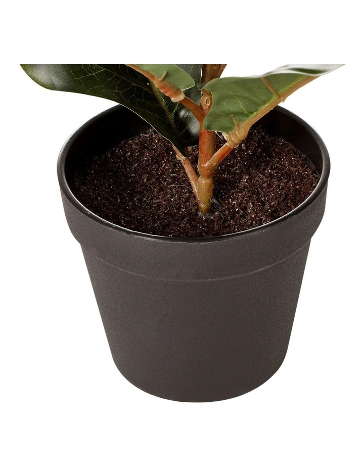 Cheapest π Cooper & Co Artificial Fiddle Leaf Potted Plant 60cm In Green π - Image 6