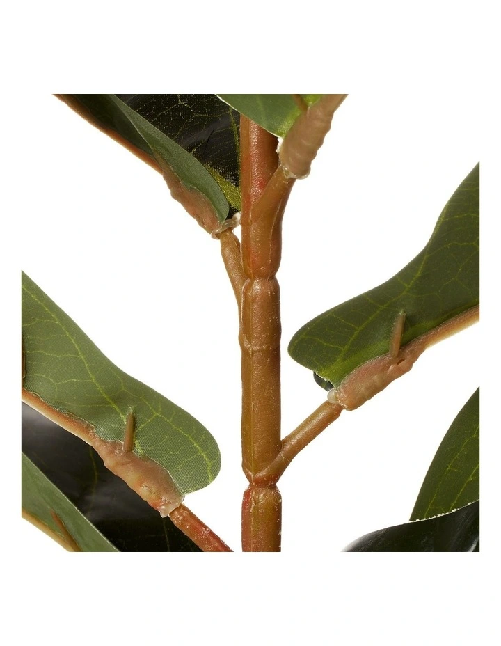 Cheapest π Cooper & Co Artificial Fiddle Leaf Potted Plant 60cm In Green π - Image 7