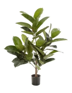 Best reviews of 🔥 Florabelle Rubber Plant Tree 96cm 🎁