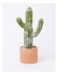 Buy 🌟 Vue Artificial Cactus In Cement Pot 41x21x13cm In Green/Terracotta 🛒