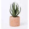 Buy 🎁 Vue Artificial Cactus In Cement Pot 22.5x11x11cm In Green/Terracotta ❤️