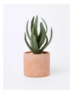 Buy 🎁 Vue Artificial Cactus In Cement Pot 22.5x11x11cm In Green/Terracotta ❤️