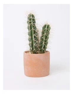 Promo 🤩 Vue Artificial Cactus In Cement Pot 30x14x14cm In Green/Terracotta ❤️