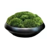 New ???? Vicky Yao Artificial Moss Bowl Bonsai Arrangement ????