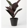 Cheapest 🎁 Vue Small Rubber Artificial Plant 45cm 🥰