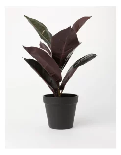 Cheapest 🎁 Vue Small Rubber Artificial Plant 45cm 🥰