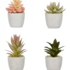 Hot Sale 🎁 Cooper & Co Succulents Artificial Plant 16cm Set Of 4 In Multi ❤️