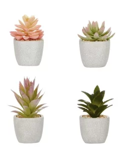 Hot Sale 🎁 Cooper & Co Succulents Artificial Plant 16cm Set Of 4 In Multi ❤️
