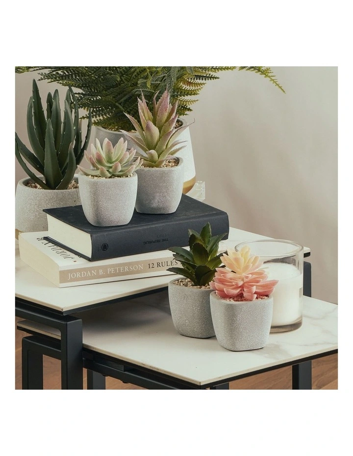 Hot Sale π Cooper & Co Succulents Artificial Plant 16cm Set Of 4 In Multi β€οΈ - Image 2