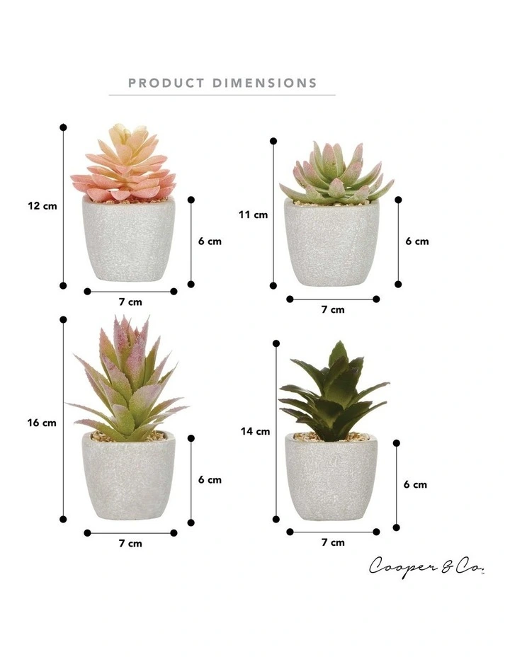 Hot Sale π Cooper & Co Succulents Artificial Plant 16cm Set Of 4 In Multi β€οΈ - Image 3
