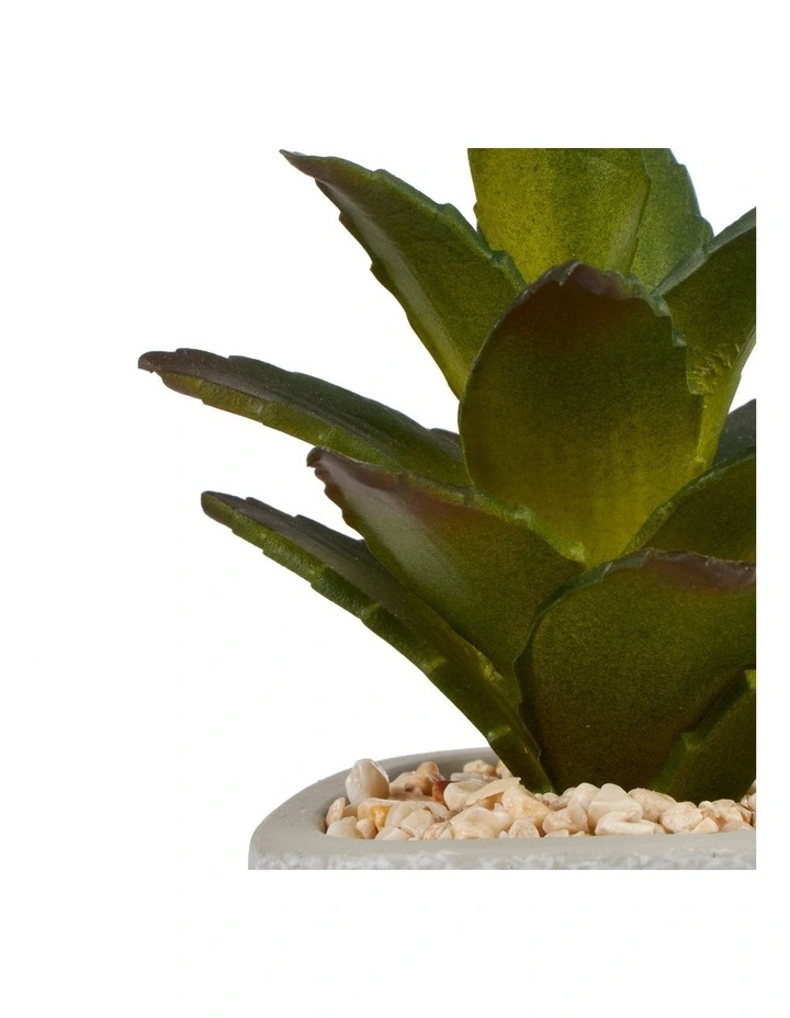 Hot Sale π Cooper & Co Succulents Artificial Plant 16cm Set Of 4 In Multi β€οΈ - Image 4