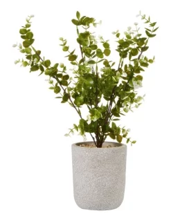 Best Pirce 😍 Cooper & Co Zanzibar Artificial Plant 40cm In Green 😉