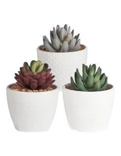 Cheapest 👍 Cooper & Co Trinity Artificial Gardens Set Of 3 In White 🎉