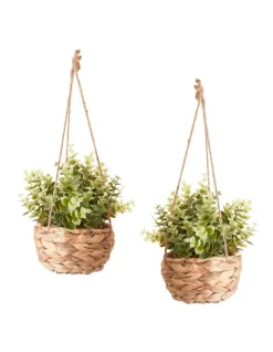 Outlet 🎁 Cooper & Co Artificial Faux Plant In Hanging Basket 41cm Set Of 2 In Green/Brown 👏