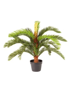 Coupon 🔥 Cooper & Co Artificial Cycas Faux Plant 75cm In Green 👍