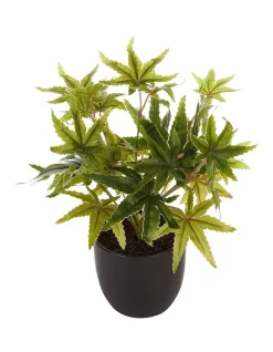 Discount ⌛ Cooper & Co Tall Potted Artificial Maple Decor 24cm In Green ⭐