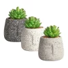 Best deal 😉 Cooper & Co Viso Artificial Gardens Pots Set Of 3 In Multi 😀