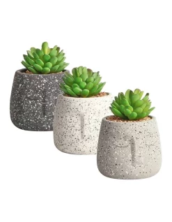 Best deal 😉 Cooper & Co Viso Artificial Gardens Pots Set Of 3 In Multi 😀