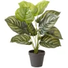 Best Sale ⭐ Cooper & Co Artificial Calathea Orbifolia Plant 45cm In Green ⌛