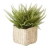 Deals 👍 Cooper & Co Artificial Fern In Basket 47cm In Green 💯