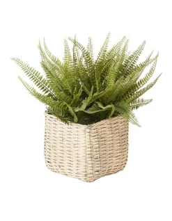 Deals π Cooper & Co Artificial Fern In Basket 47cm In Green π―