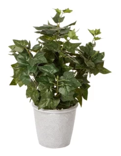 Best deal 👏 Cooper & Co Ivy 39cm In Green 😀