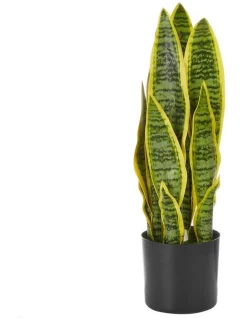 Brand new 😀 Cooper & Co Artificial 👩 Mother-In-Law Tongue 45Cm 👏