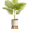 Cheapest 🥰 Cooper & Co Artificial Palm Plant In Ceramic Pot 85cm In White/Green 🛒