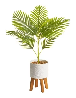 Cheapest 🥰 Cooper & Co Artificial Palm Plant In Ceramic Pot 85cm In White/Green 🛒