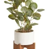 Top 10 ⌛ Cooper & Co Artificial Money Plant In Ceramic Pot 40cm In White 🌟