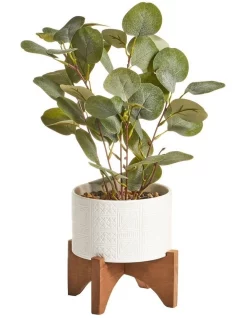 Top 10 ⌛ Cooper & Co Artificial Money Plant In Ceramic Pot 40cm In White 🌟