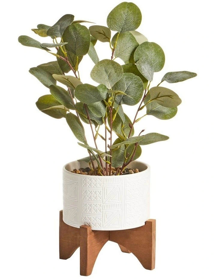 Top 10 β Cooper & Co Artificial Money Plant In Ceramic Pot 40cm In White π
